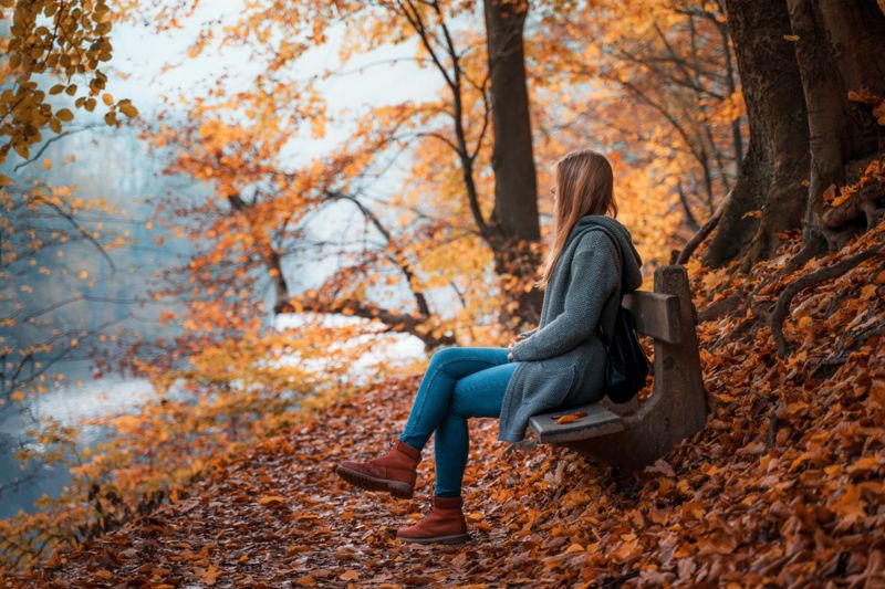 We can learn lessons from nature as trees shed their leaves each fall. What can we release from our hold?